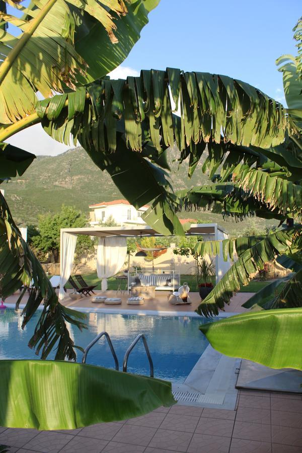 Anamnesis. Feel The Mediterranean. Kalamata Esterno foto